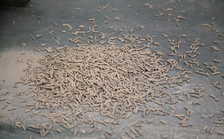 山東秸稈飼料顆粒機(jī)顆粒.jpg 山東秸稈飼料顆粒機(jī)顆粒.jpg